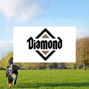 diamond-pet-food-case-study