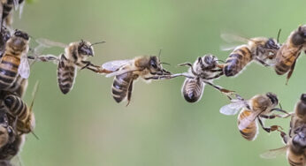 Cultivating Trust
