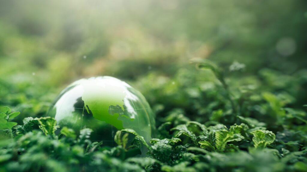 The Goal is Net Zero - How Can Print Companies Help?